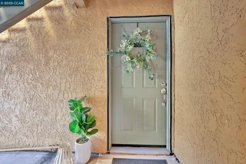 a view of a potted plant in a pot