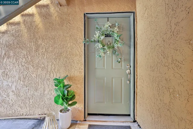 a view of a potted plant in a pot