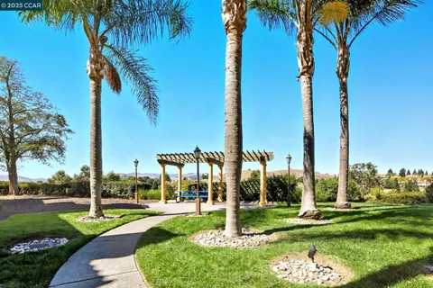 a view of a park with palm trees