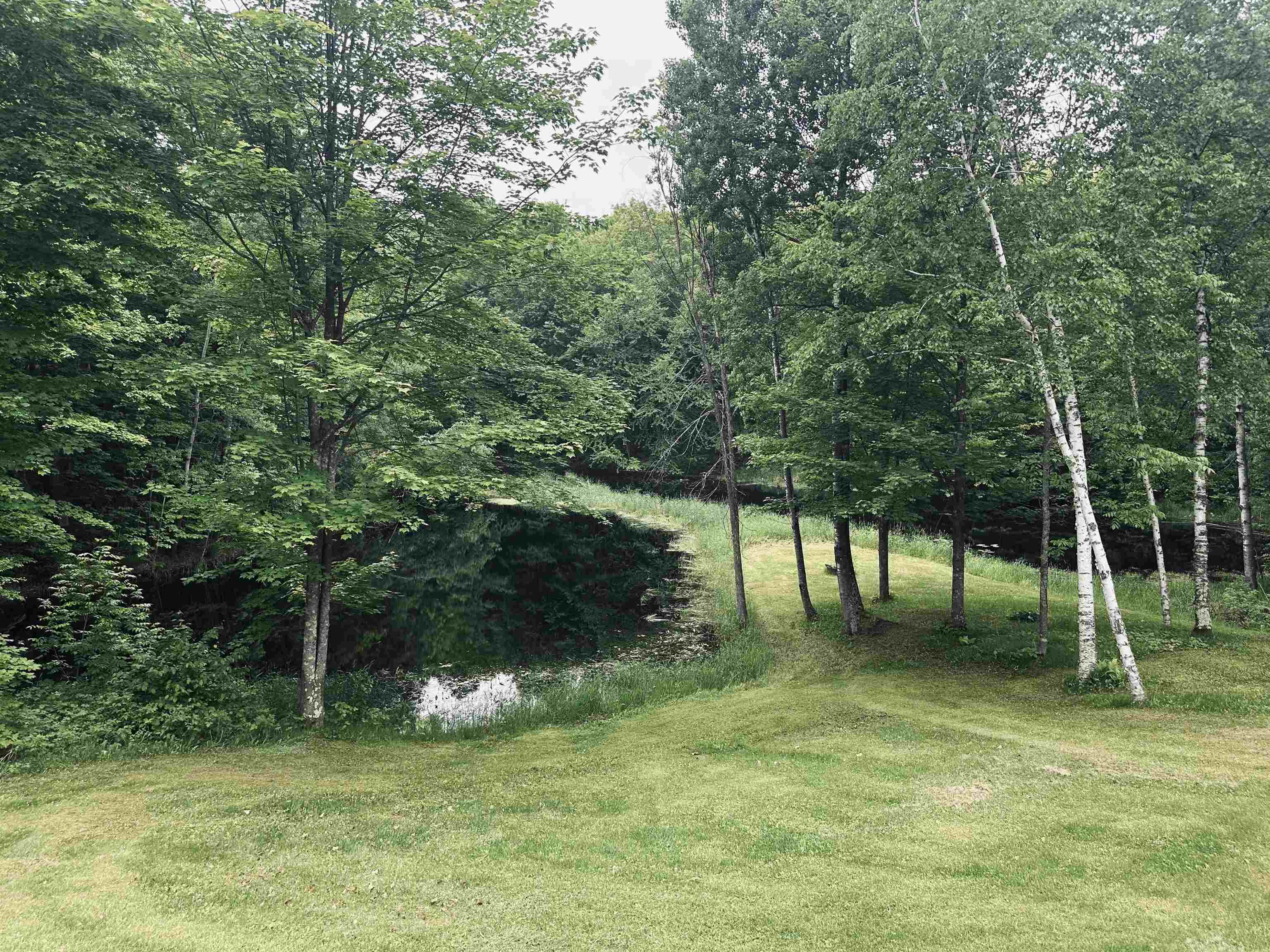 58875 Roy Anderson Road Mason, WI 54856 - Photo 2 of 26 View of green lawn with a forest view