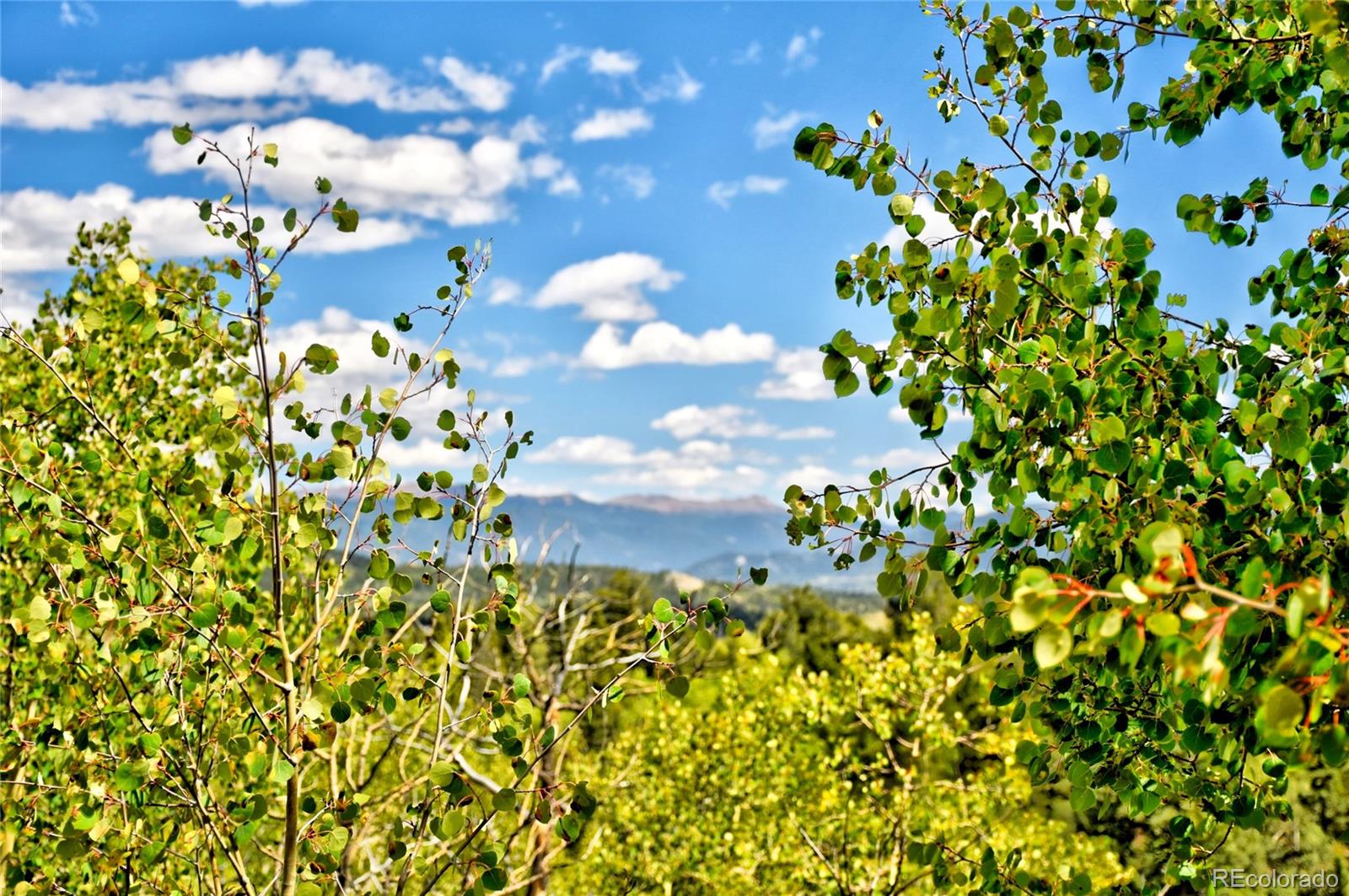 293 Old Squaw Road Como, CO 80432 - Photo 13 of 23 Gallery Image 13