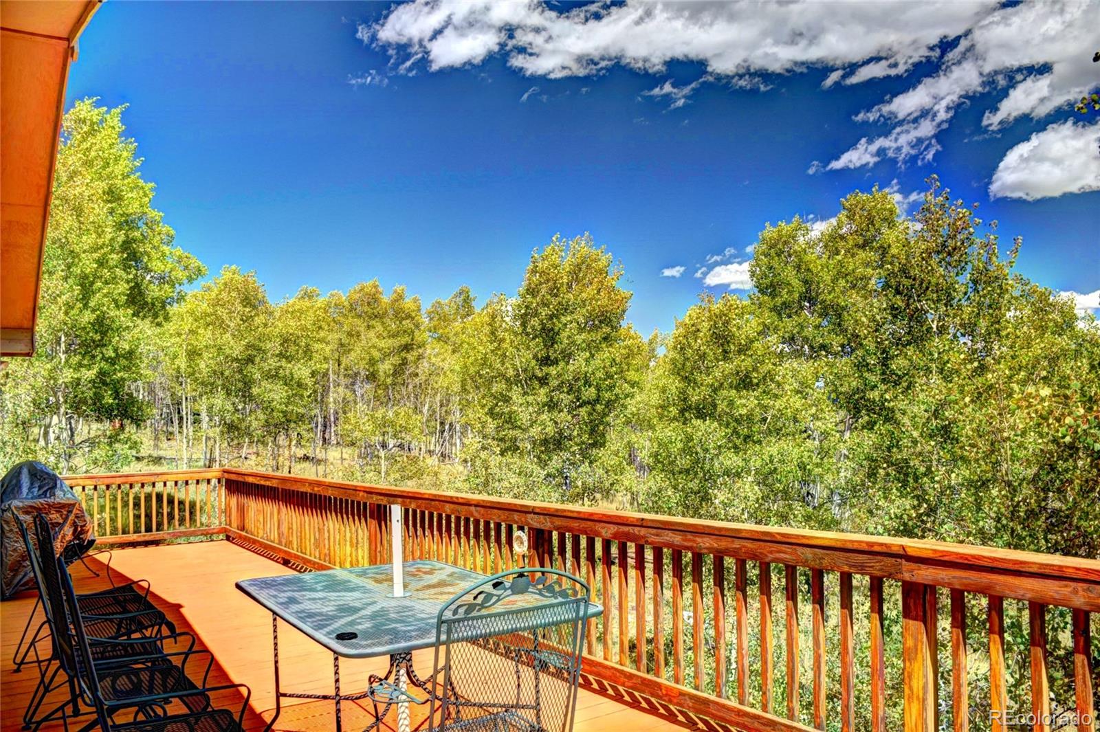 293 Old Squaw Road Como, CO 80432 - Photo 23 of 23 Gallery Image 23
