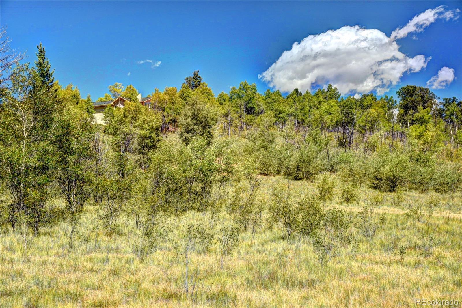 293 Old Squaw Road Como, CO 80432 - Photo 3 of 23 Gallery Image 3