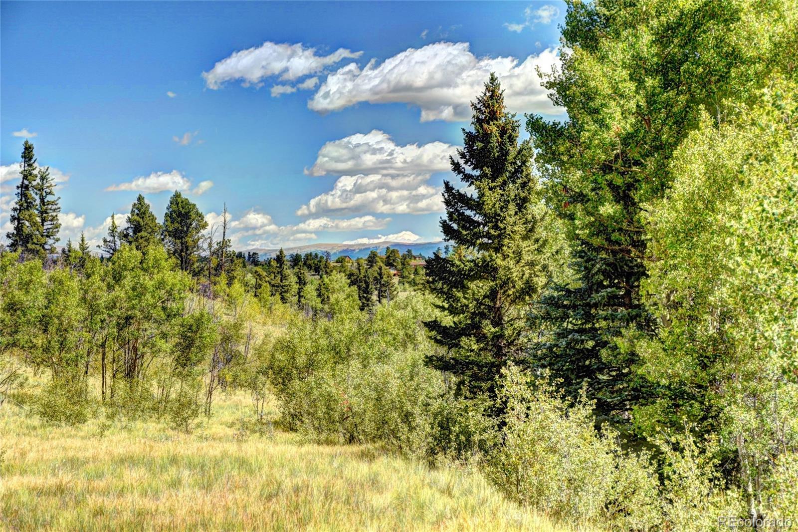 293 Old Squaw Road Como, CO 80432 - Photo 6 of 23 Gallery Image 6