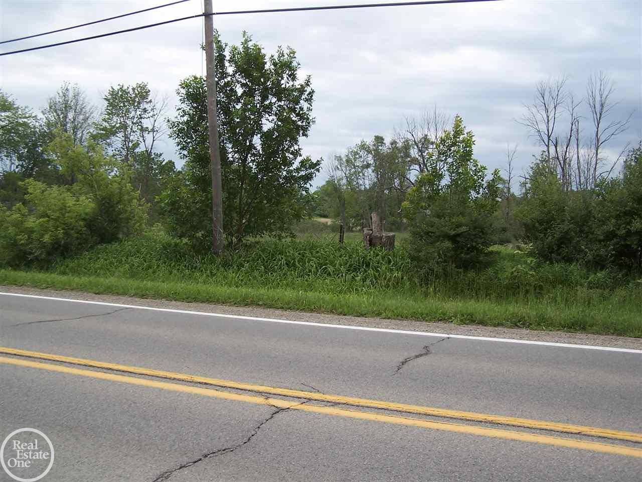 65160 Romeo Plank Road Ray, MI 48096 - Photo 33 of 46