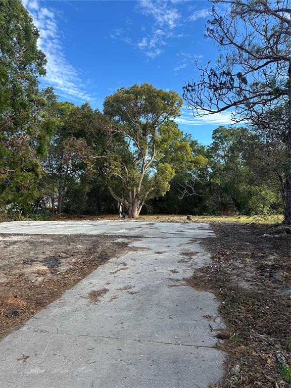 11411 Sagamore Street Spring Hill, FL 34609 - Photo 3 of 3