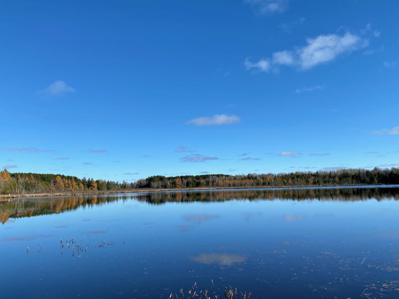 5802 Hwy 17 Sugar Camp Rhinelander, WI 54501 - Photo 20 of 20 Gallery Image 20