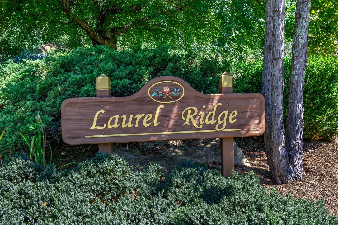 558 Husky Mountain Road Vilas, NC 28692 - Photo 50 of 50 Gallery Image 50