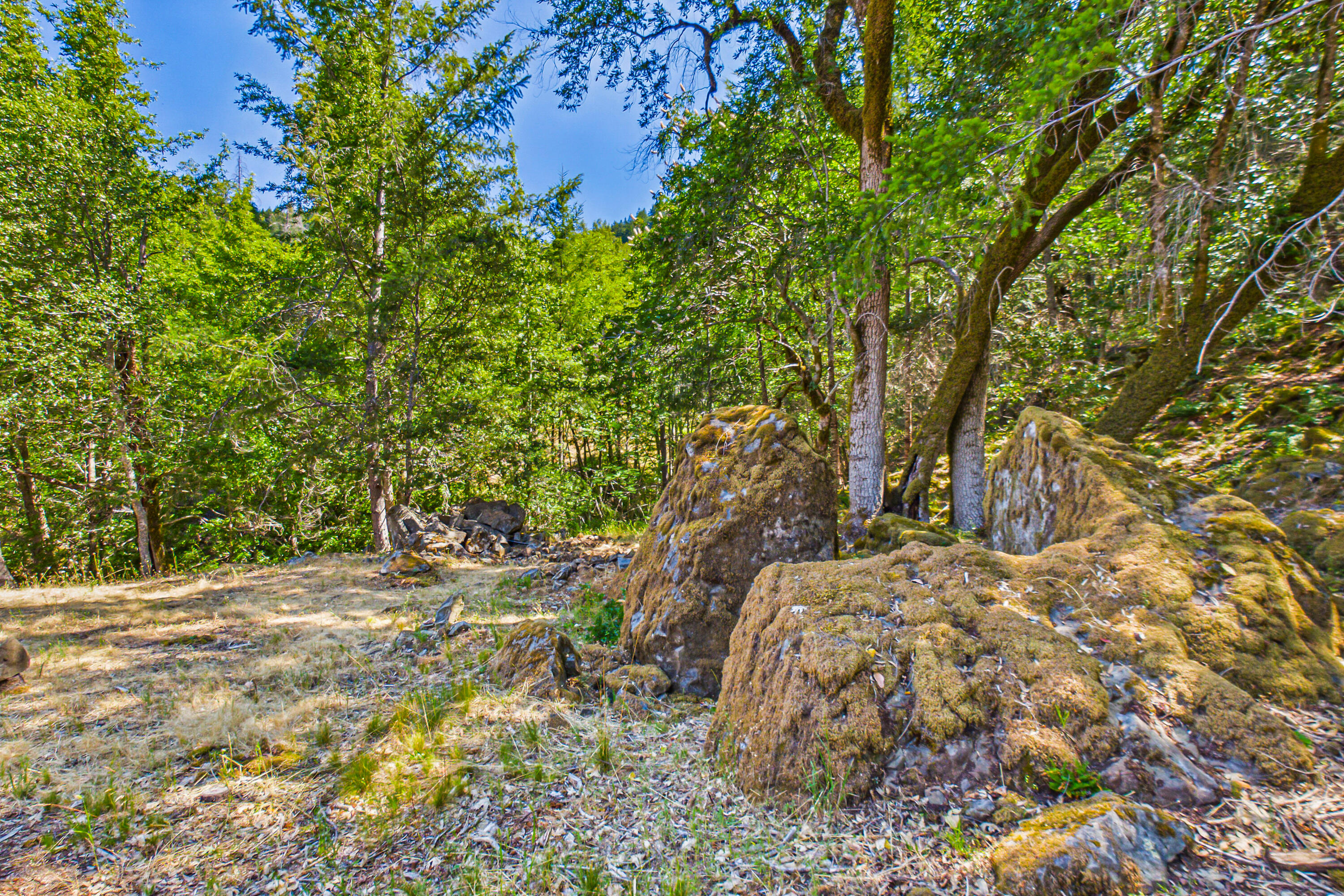 60890 Bell Springs Road Laytonville, CA 95454 - Photo 41 of 77 a backyard of a house with lots of green space