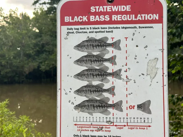 a picture of a book in a park