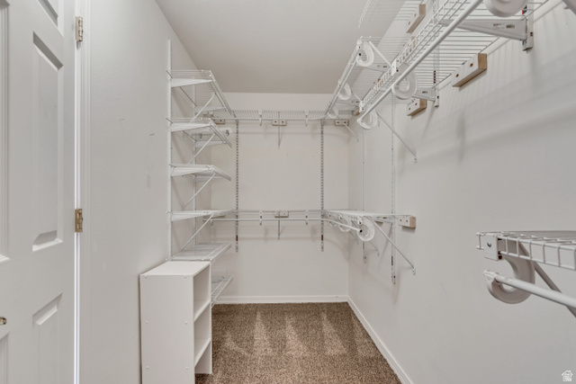 546 Wheatridge Road Tooele, UT 84074 - Photo 25 of 49 Master walk-in closet with carpet flooring, white wire shelving