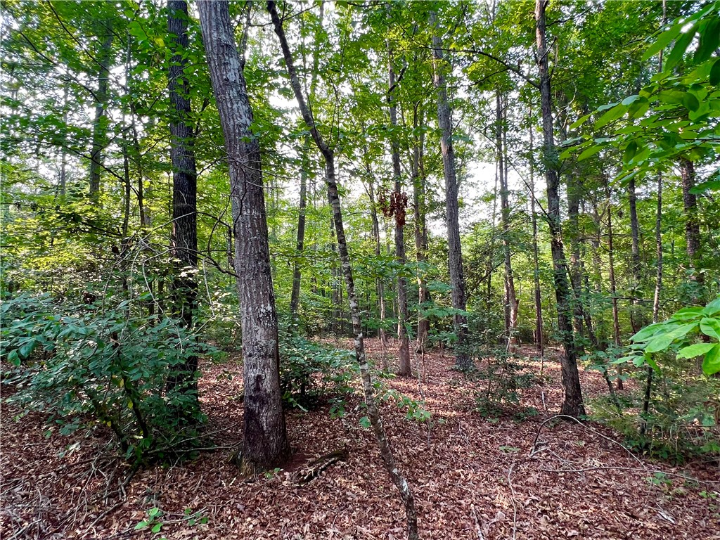 1 Howe Road Central, SC 29630 - Photo 13 of 16