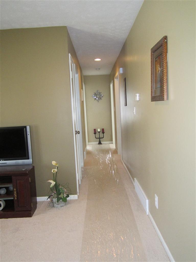 633 Merrick Street Belding, MI 48809 - Photo 3 of 8 Additional Photo