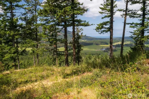 $525,000 | 1700 Mountain Crest Drive, Orcas Island, WA 98245