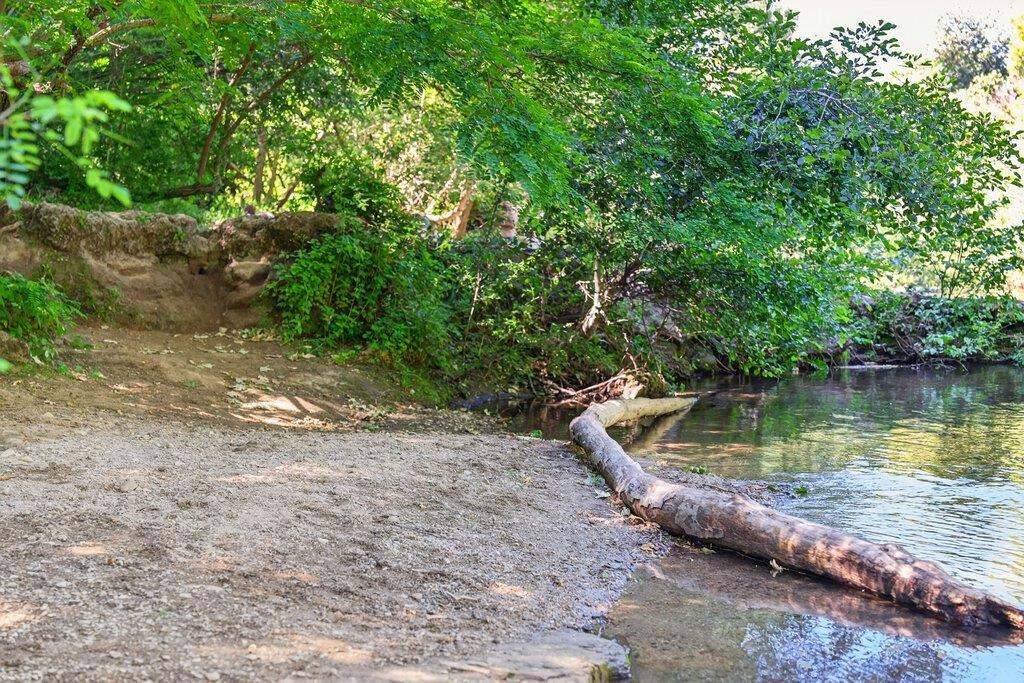 125 Shadowbrook Road Ben Lomond, CA 95005 - Photo 56 of 60 a view of a large body of water with a large tree