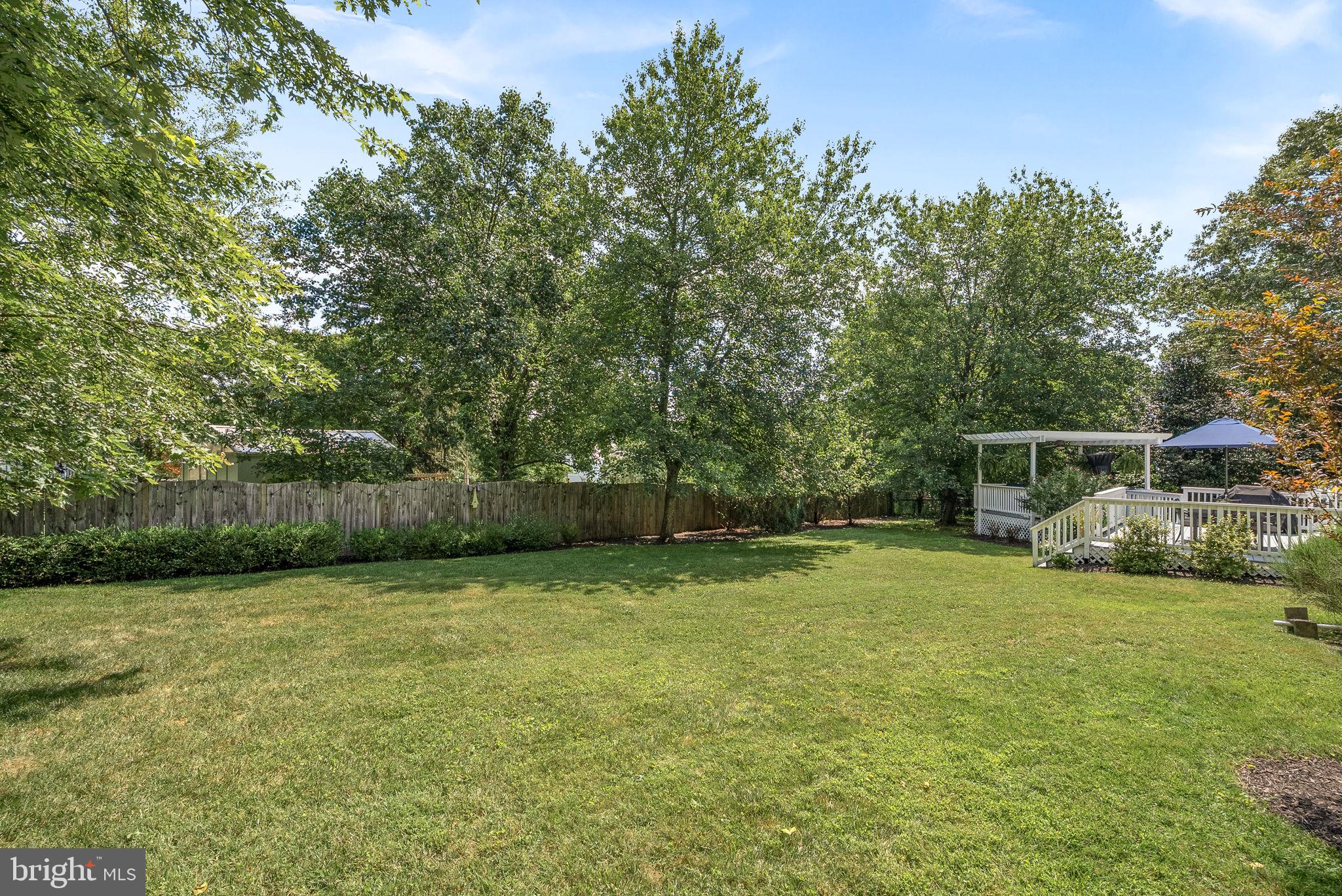 10313 Parkman Road Silver Spring, MD 20903 - Photo 48 of 61 a view of a trees in a yard