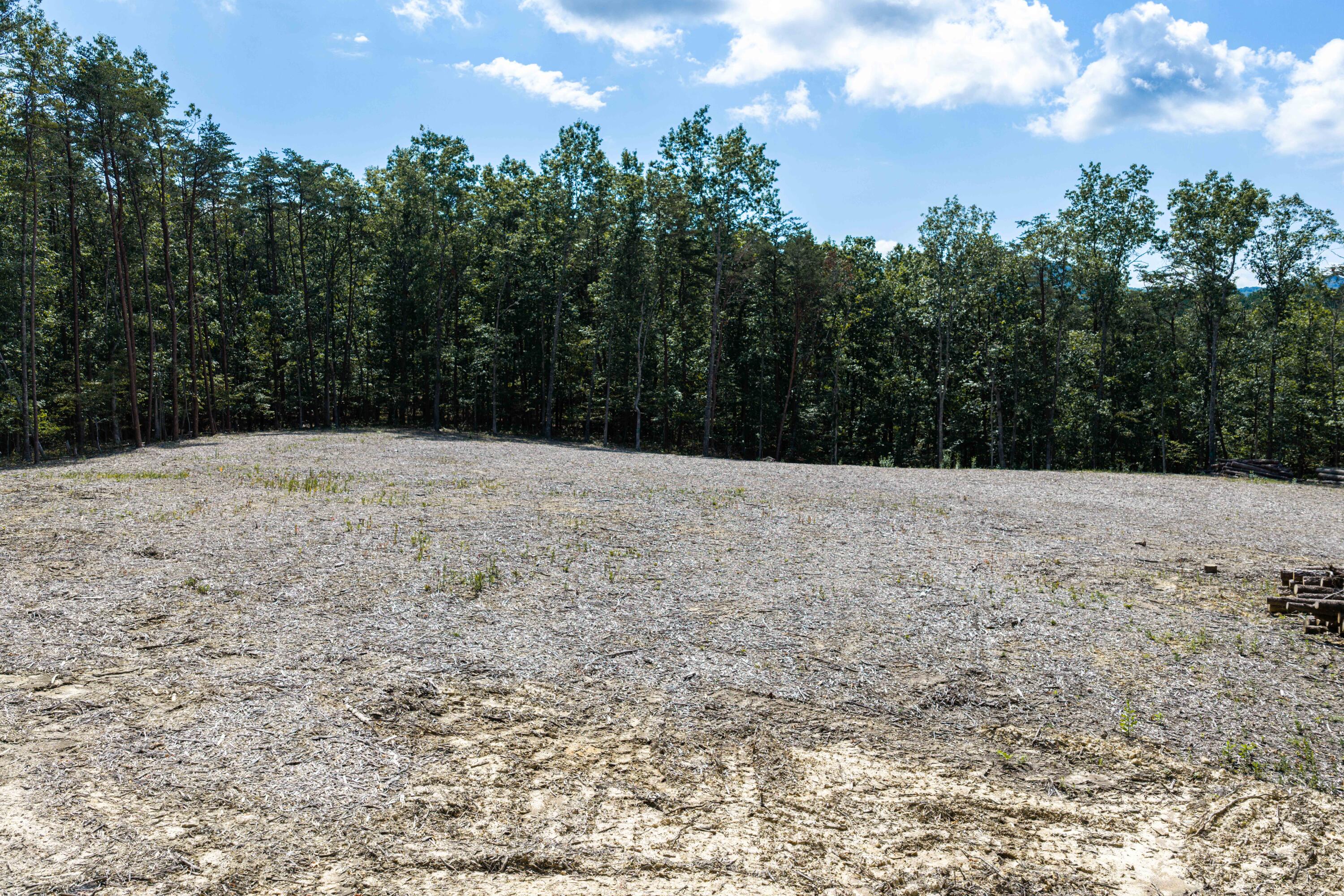 3050 New Ridge Road Elliston, VA 24087 - Photo 7 of 31 DJI_20260830120443_0077_D