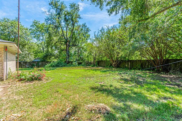 a view of a backyard with a tree