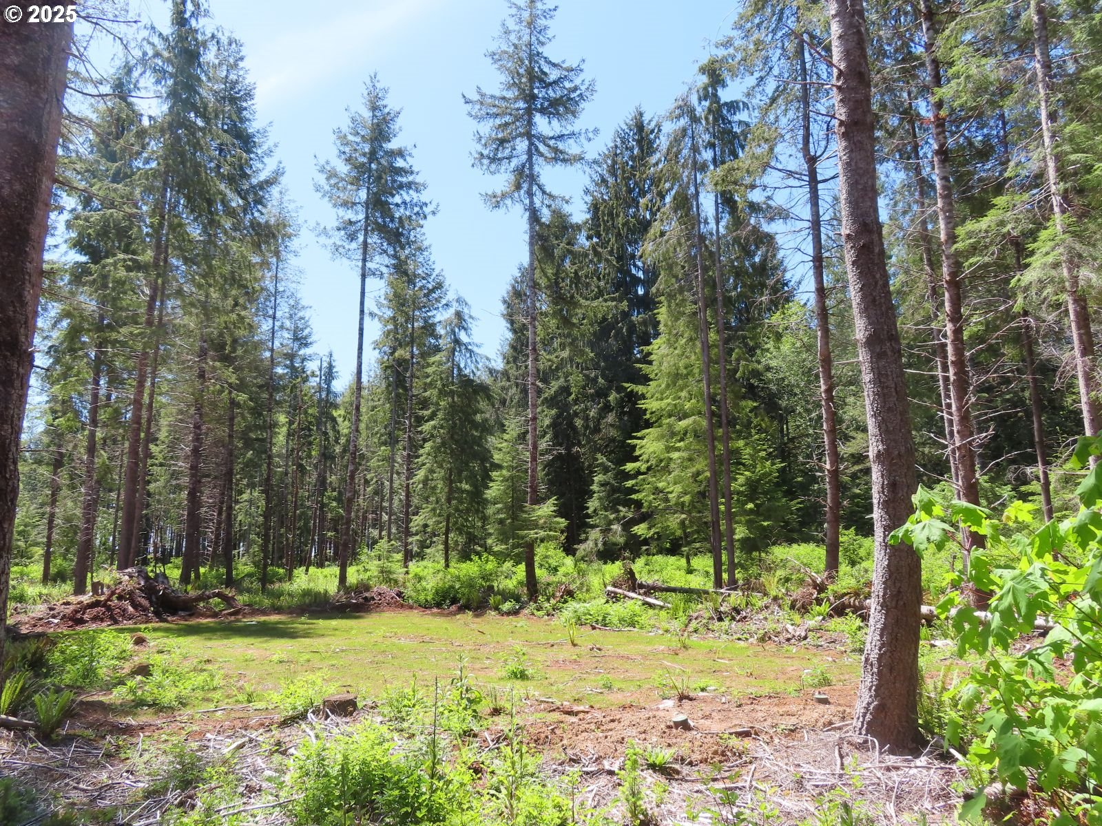 1515 Kirkpatrick Road Hoquiam, WA 98550 - Photo 11 of 37