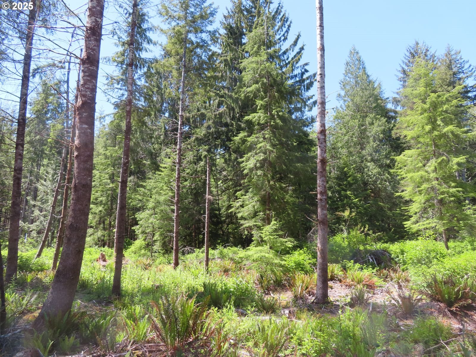 1515 Kirkpatrick Road Hoquiam, WA 98550 - Photo 12 of 37