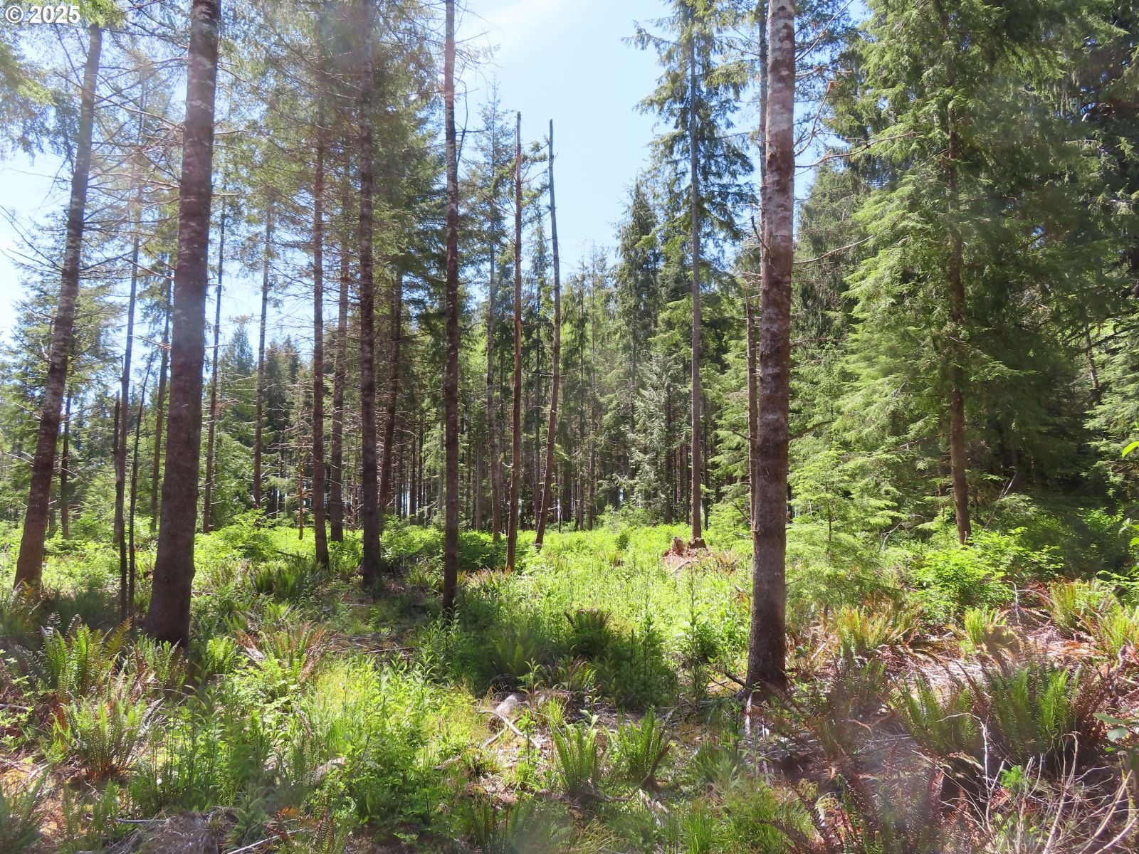 1515 Kirkpatrick Road Hoquiam, WA 98550 - Photo 2 of 37