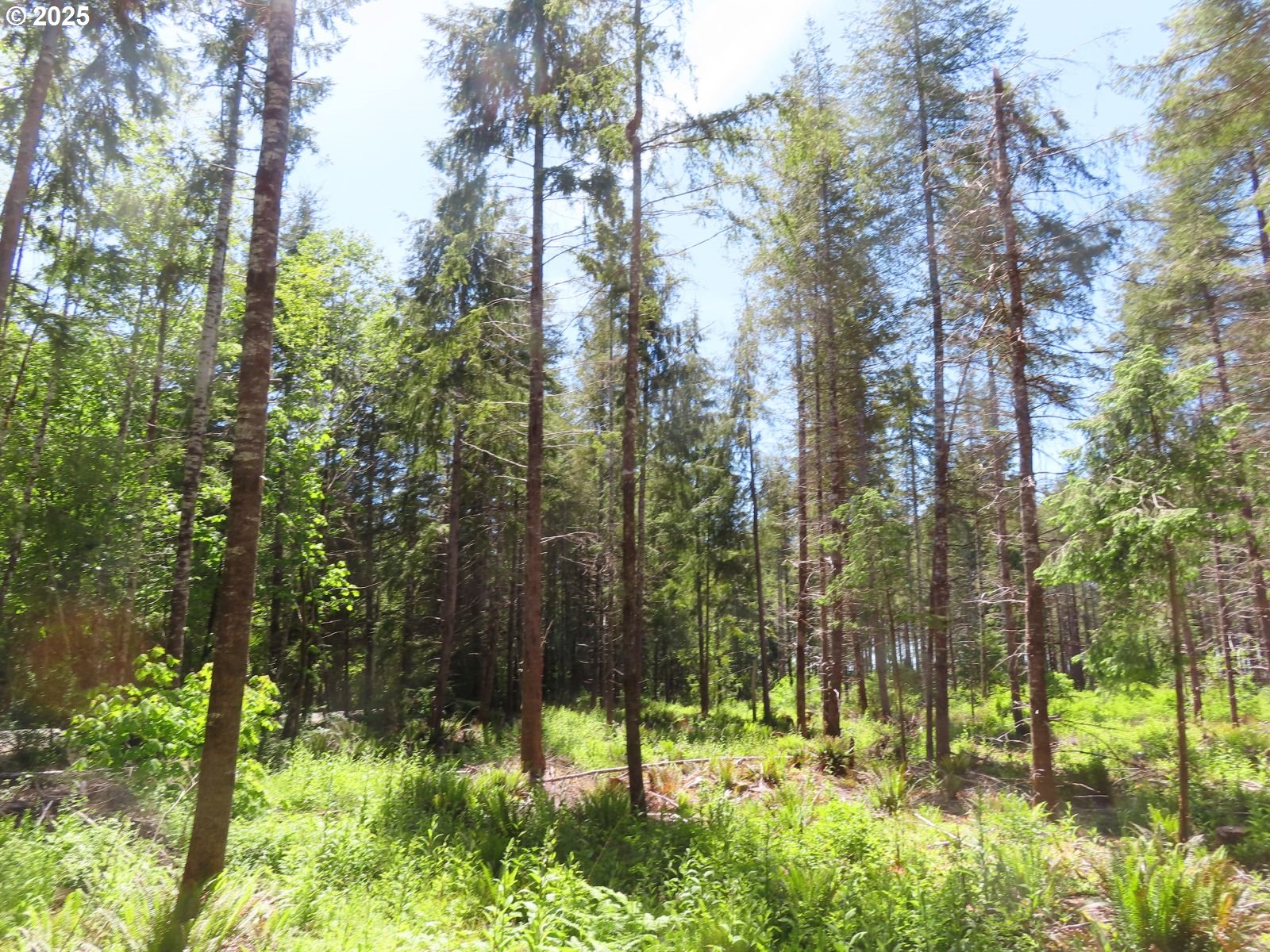 1515 Kirkpatrick Road Hoquiam, WA 98550 - Photo 27 of 37