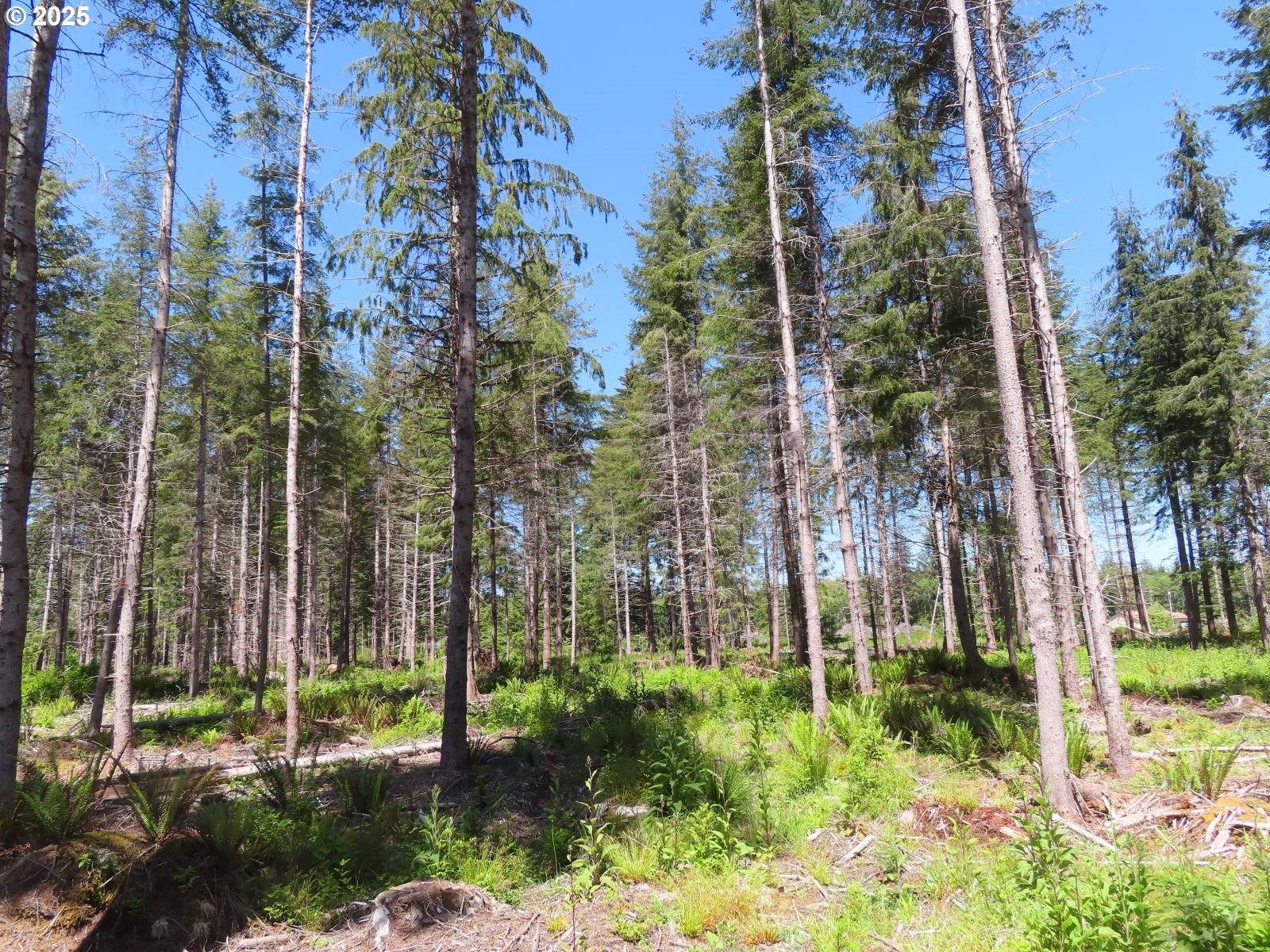 1515 Kirkpatrick Road Hoquiam, WA 98550 - Photo 28 of 37