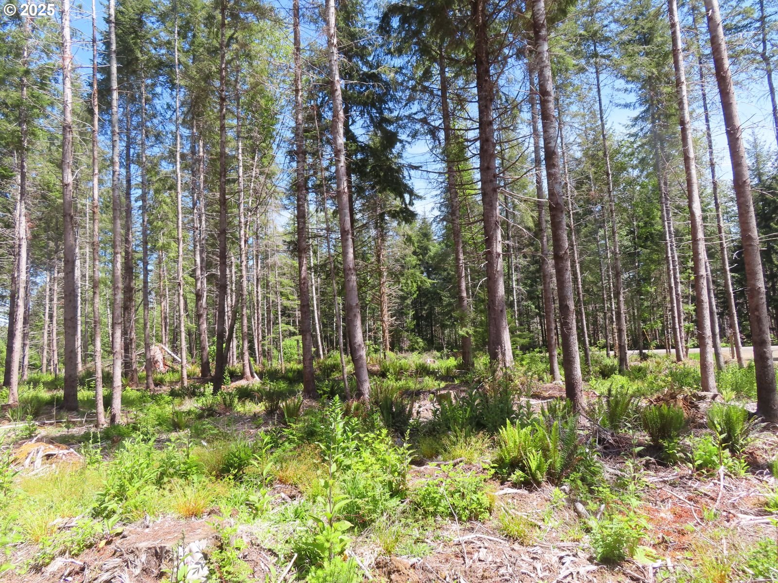 1515 Kirkpatrick Road Hoquiam, WA 98550 - Photo 29 of 37