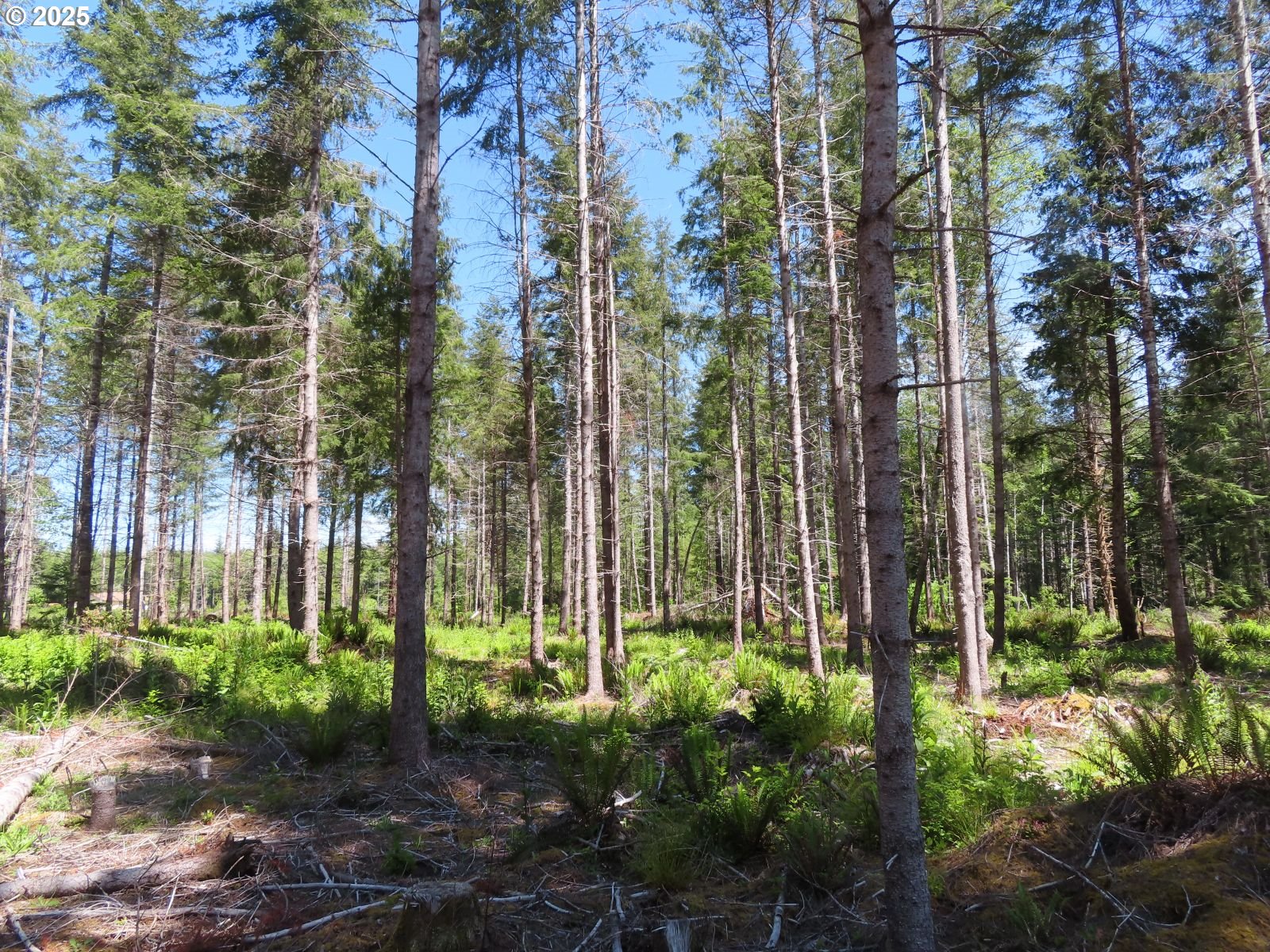 1515 Kirkpatrick Road Hoquiam, WA 98550 - Photo 30 of 37