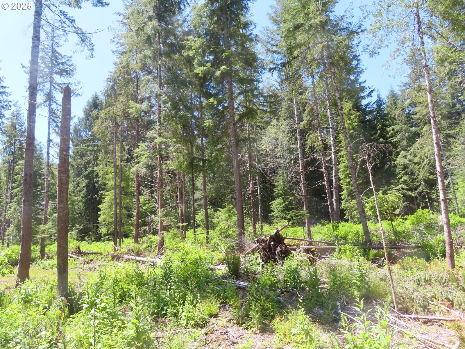 1515 Kirkpatrick Road Hoquiam, WA 98550 - Photo 31 of 37