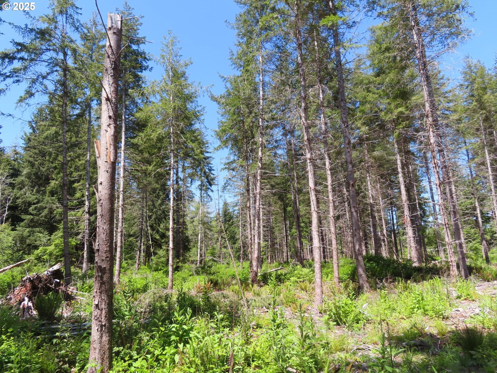 1515 Kirkpatrick Road Hoquiam, WA 98550 - Photo 32 of 37