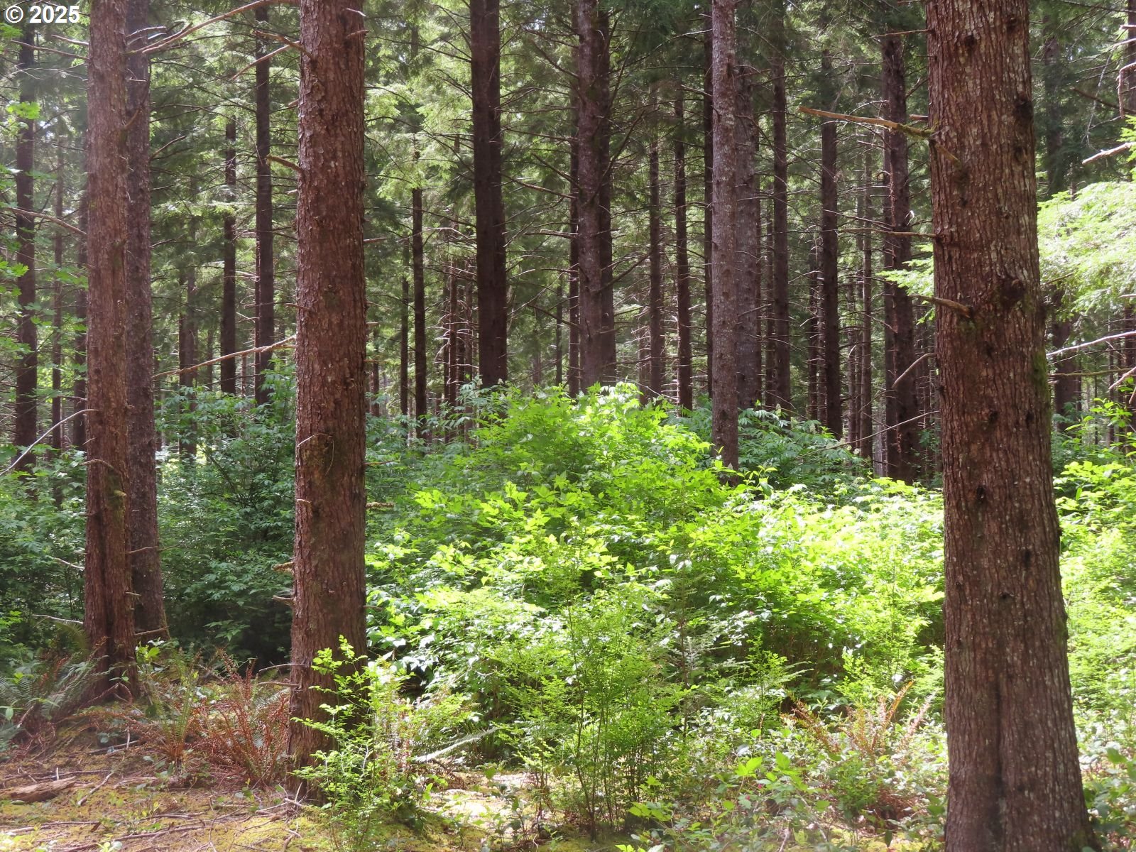 1515 Kirkpatrick Road Hoquiam, WA 98550 - Photo 33 of 37