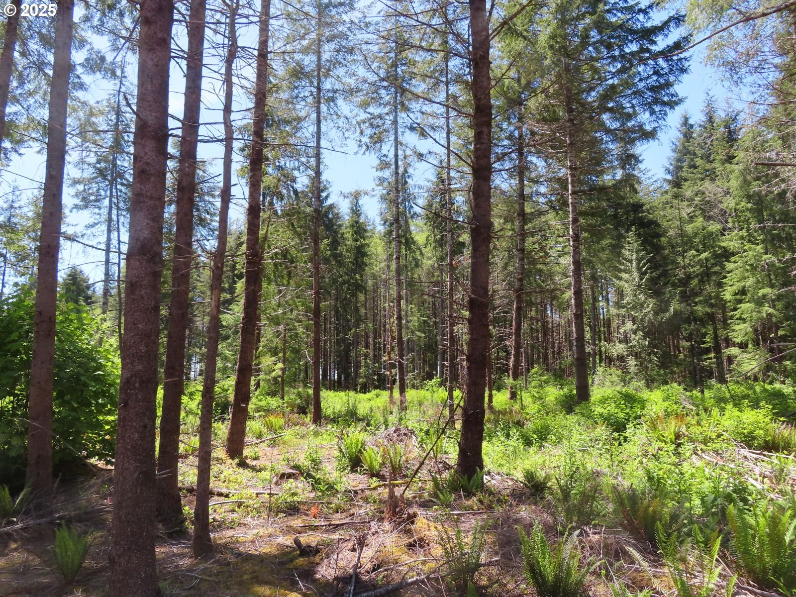 1515 Kirkpatrick Road Hoquiam, WA 98550 - Photo 4 of 37