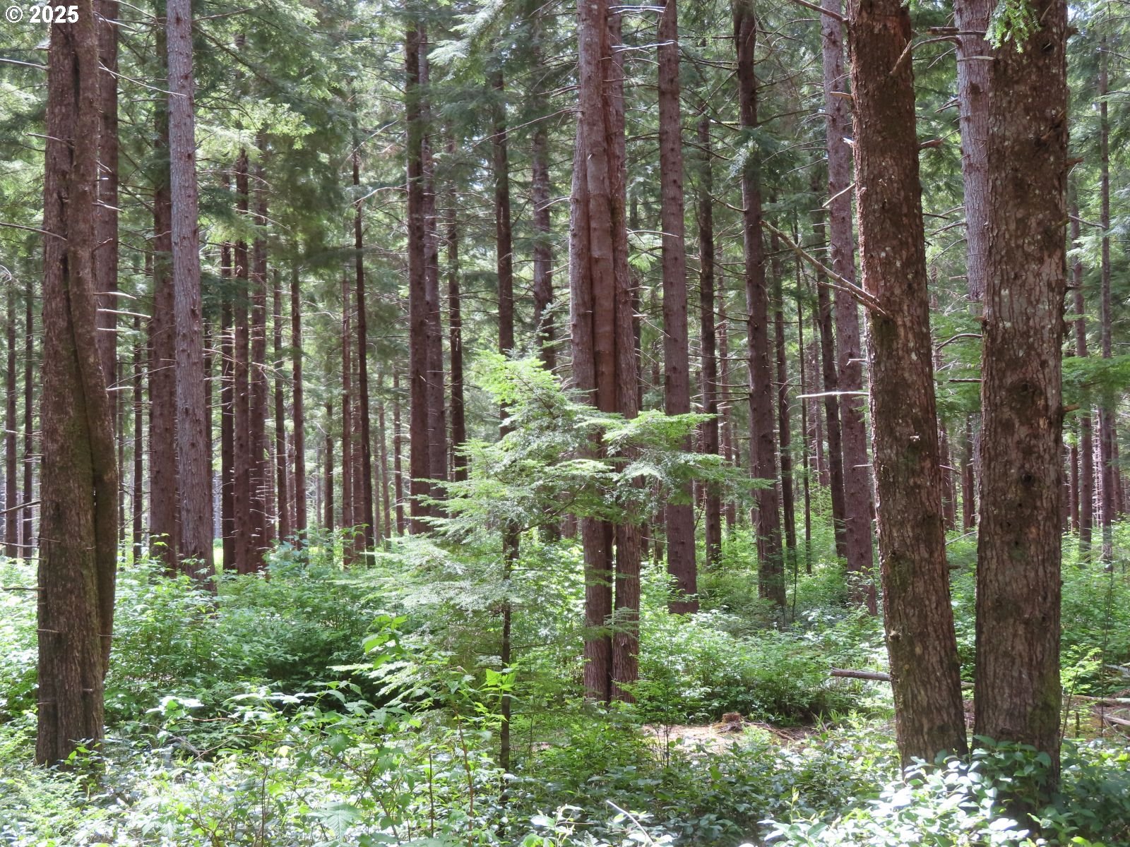 1515 Kirkpatrick Road Hoquiam, WA 98550 - Photo 5 of 37