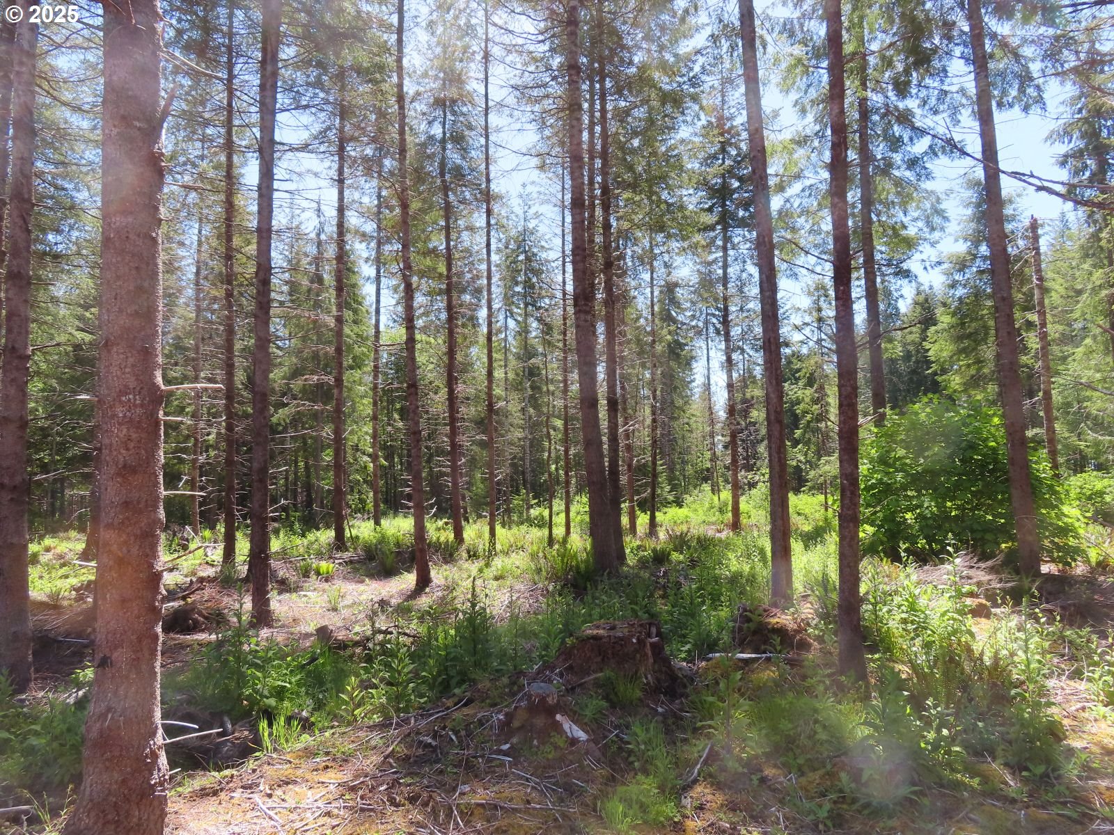 1515 Kirkpatrick Road Hoquiam, WA 98550 - Photo 6 of 37