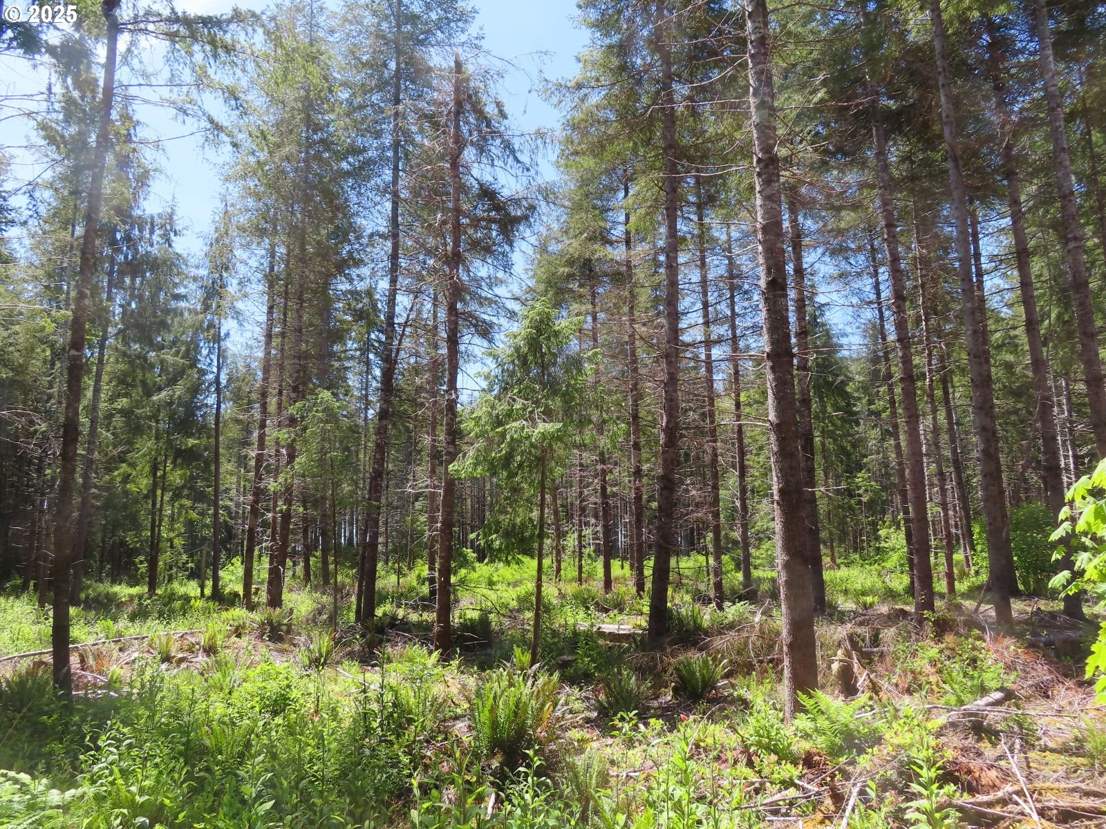 1515 Kirkpatrick Road Hoquiam, WA 98550 - Photo 7 of 37