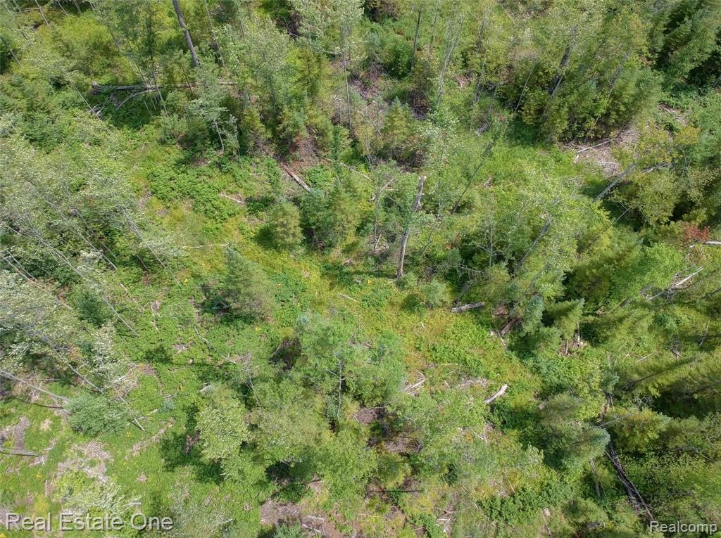 0 South Morrison Road West Branch, MI 48661 - Photo 31 of 38