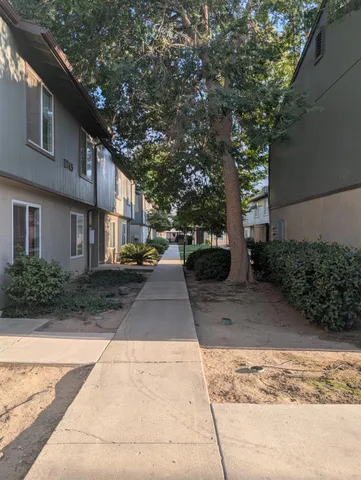 a view of a park with plants and trees