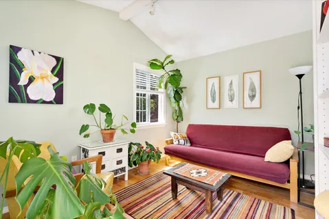a living room with furniture and a potted plant