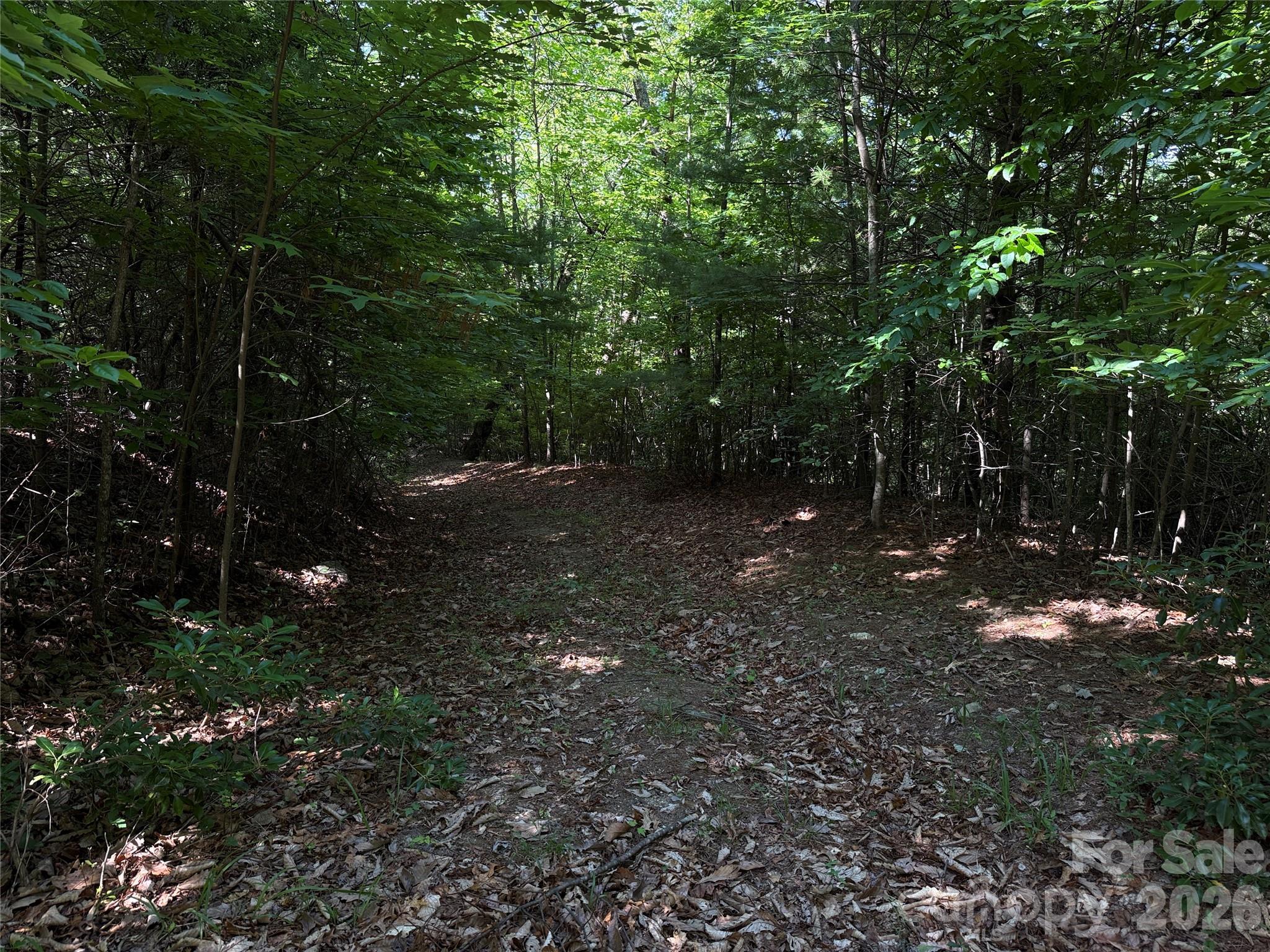 Tbd Blue Rock Road, Unit 171 & 172B Purlear, NC 28665 - Photo 16 of 44