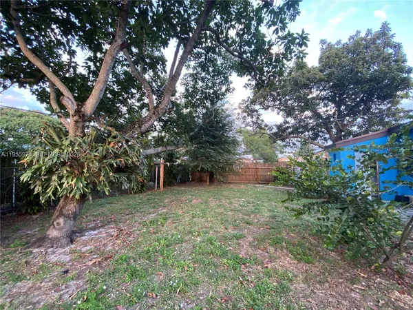 a view of a trees in a yard