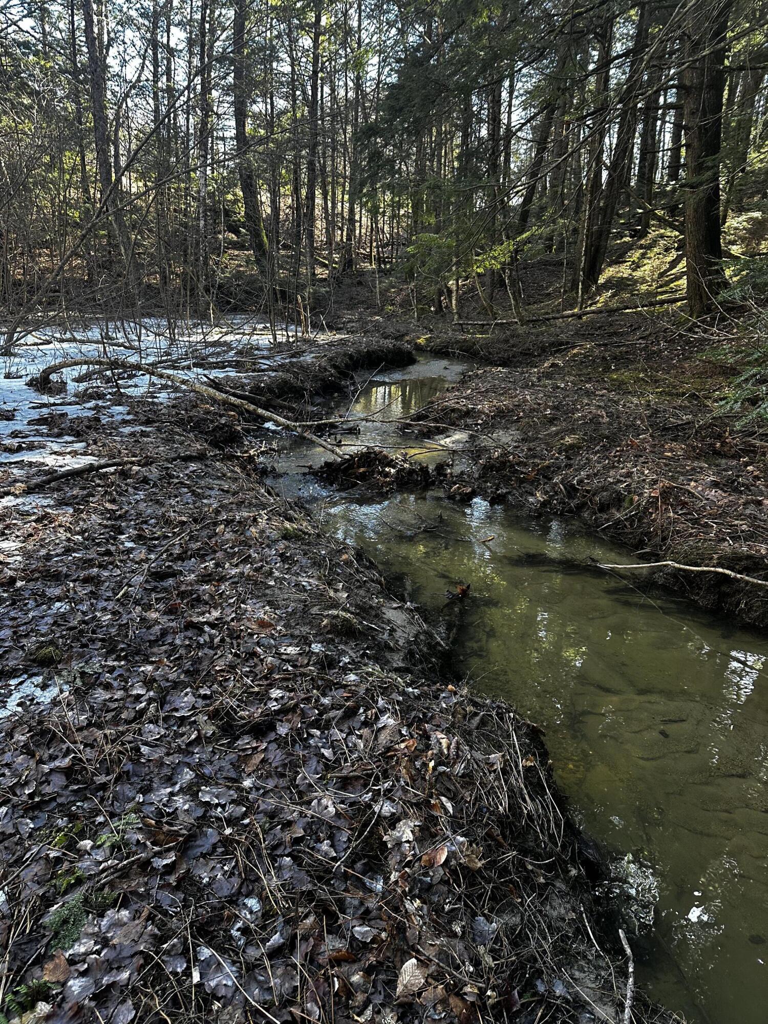 Map11-lot30 Cobbs Bridge Road New Gloucester, ME 04260 - Photo 26 of 26 IMG_2580