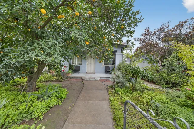 a view of a back yard