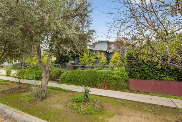 a view of a garden with large trees