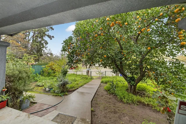 a view of a yard with potted plants and large tree