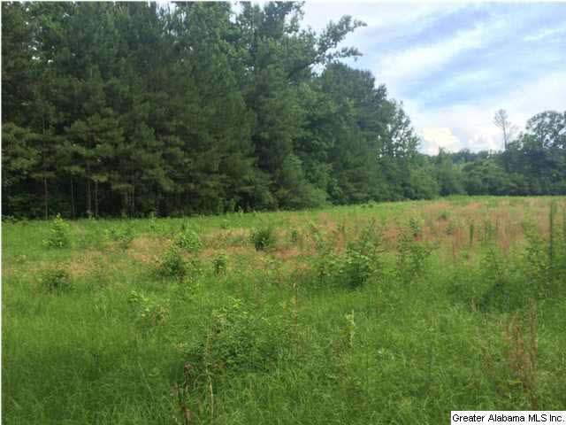Frog Level Road, Unit 14 West Blocton, AL 35184 - Photo 7 of 10