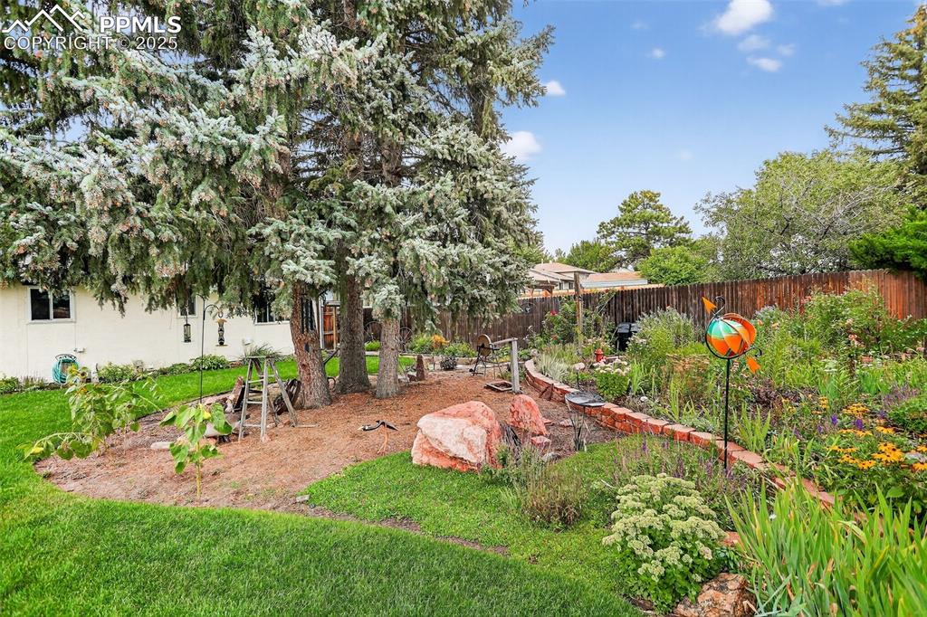 6035 Tuckerman Lane Colorado Springs, CO 80918 - Photo 41 of 47 a view of a backyard