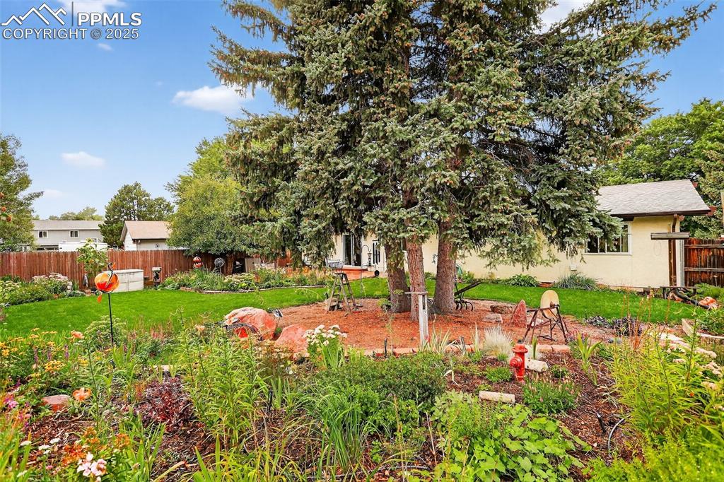 6035 Tuckerman Lane Colorado Springs, CO 80918 - Photo 42 of 47 a view of a garden with a tree