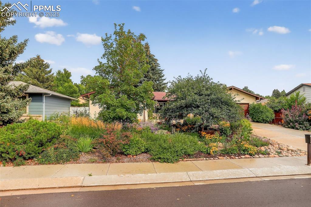 6035 Tuckerman Lane Colorado Springs, CO 80918 - Photo 6 of 47 front view of a house with a yard and potted plants