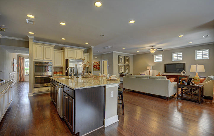 125 Radtko Road Summerville, SC 29486 - Photo 8 of 28 greatroom and kitchen